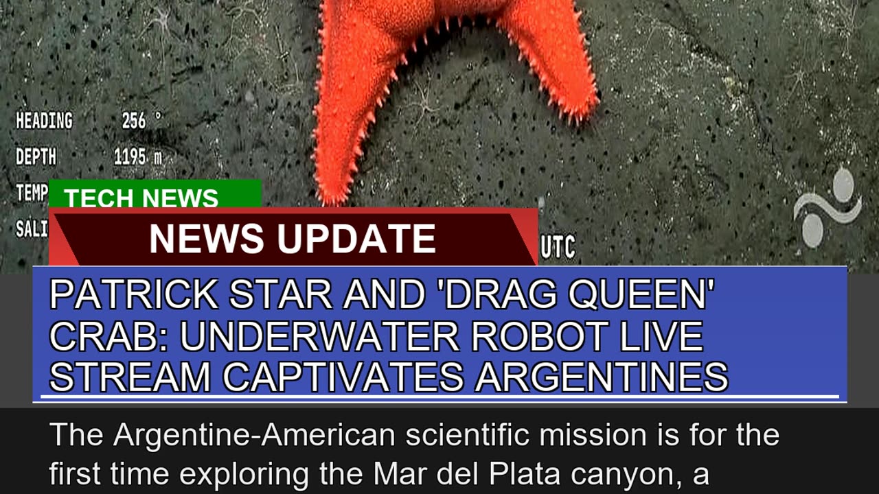 Patrick Star and Drag Queen Crab Underwater Rob