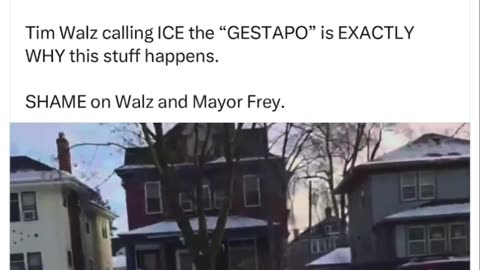 Domestic Terrorists | Steven Miller