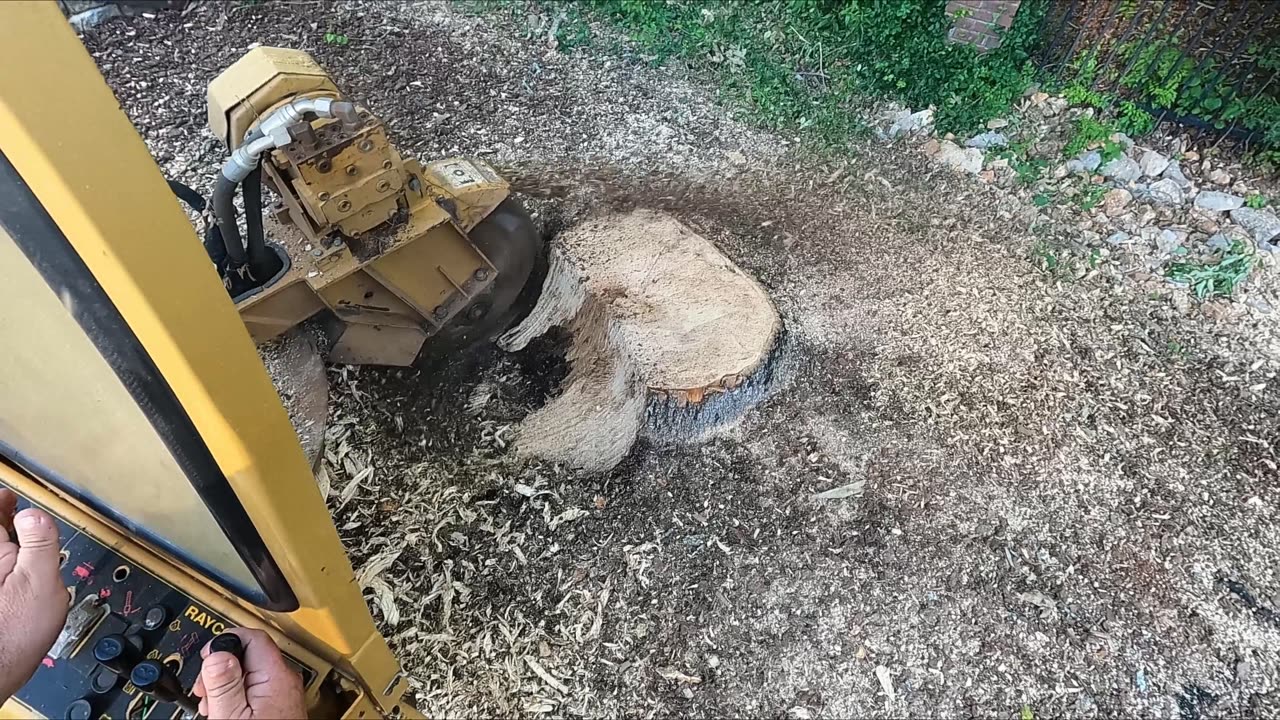 Stump Grinding in Madsion, Alabama
