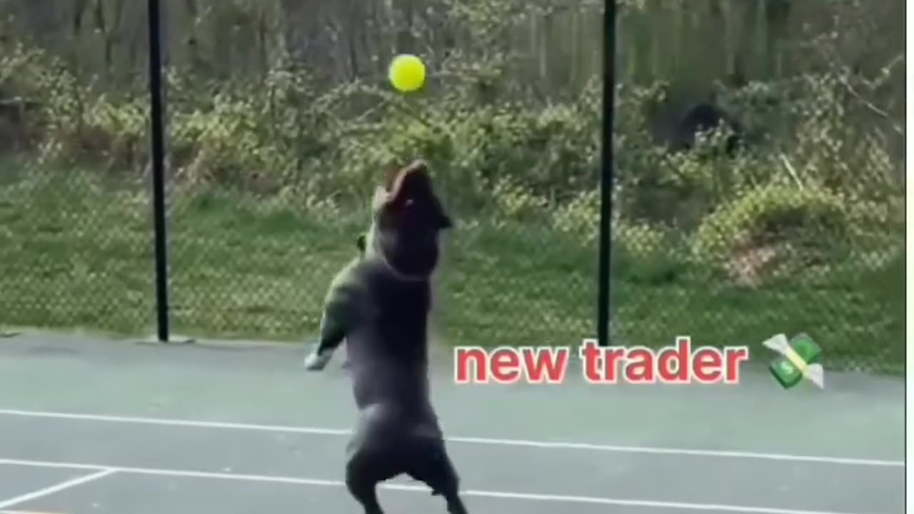 Traders in the Forex Market