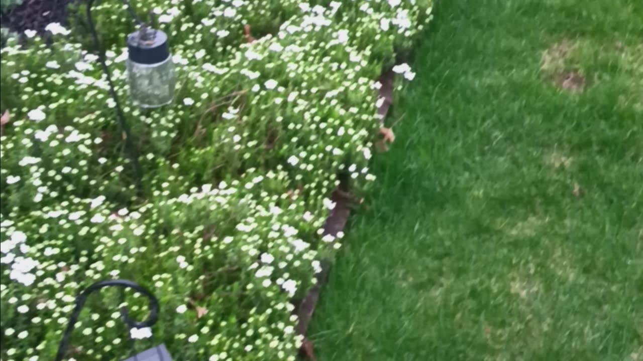 Spring colors