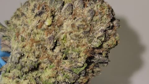 White Truffle THC Flower