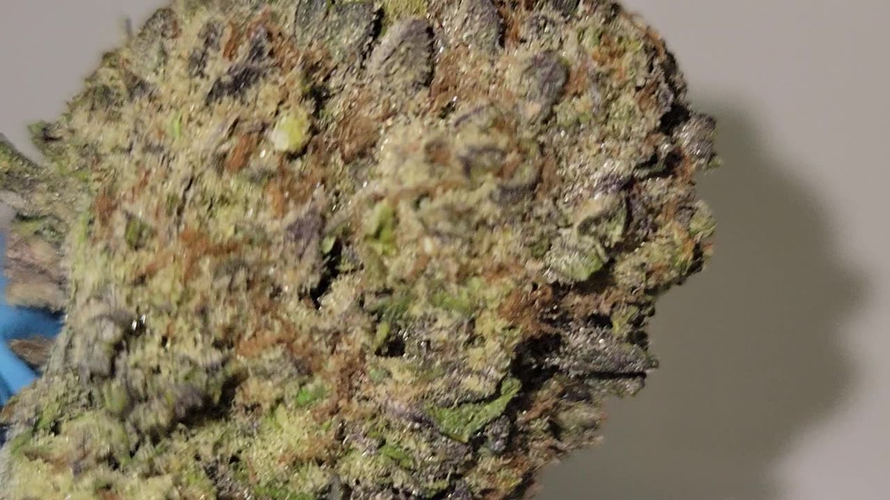 White Truffle THC Flower