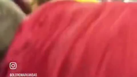 Alleged Nazi yells 'Heil Hitler' as he gets punched at Arkansas game