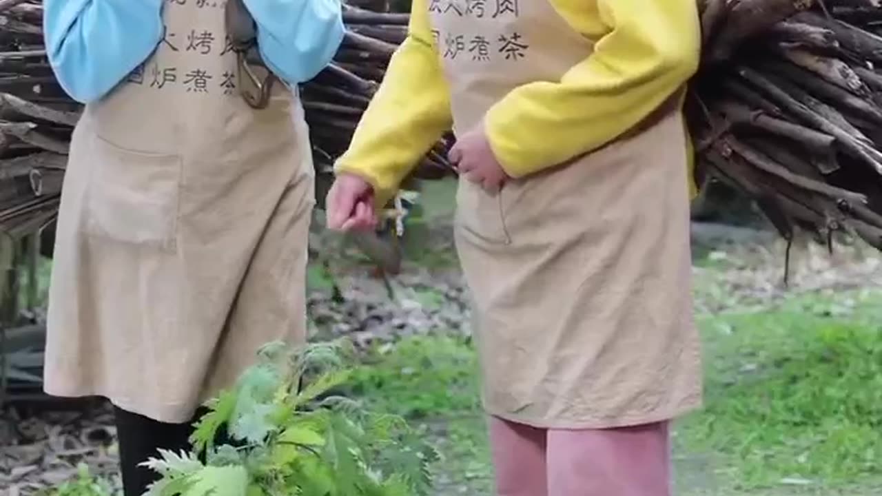 Funny Video #vild #wildlife #funny #comedy #garden #8bit #movie