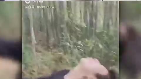 Funny videos 😂