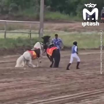 Settling things the old fashioned way 🤣