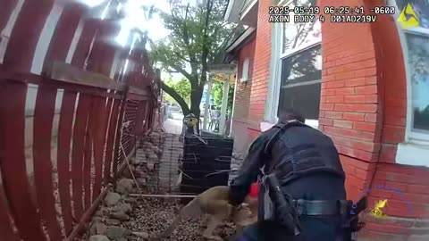 Durango’s Notorious Kangaroo Caught Hopping Through Town—Again!