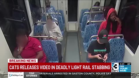 Ukrainian Immigrant Stabbed to Death by Repeat Criminal