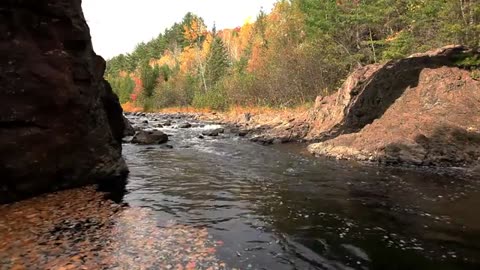 Autumn_River_Creative_Commons_Attribution_License