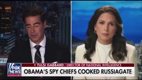 Tulsi Gabbard is blasting the intelligence world wide open