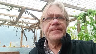 Pierwsze pomarańcze opuszczają statek