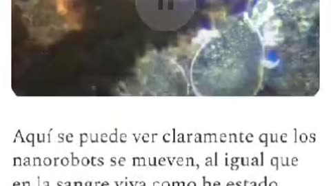 SANGRE DE VACUNADOS FALLECIDOS SE MUEVE Y SIGUE VIVA DEBIDO A LA NANOTECNOLOGIA INCRUSTADA