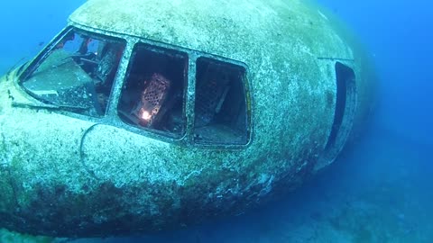 Artificial Airplane Wreck In Aqaba Waters