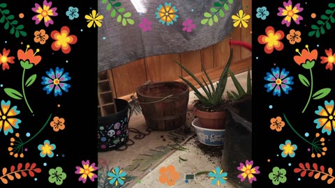 Spring gardening .