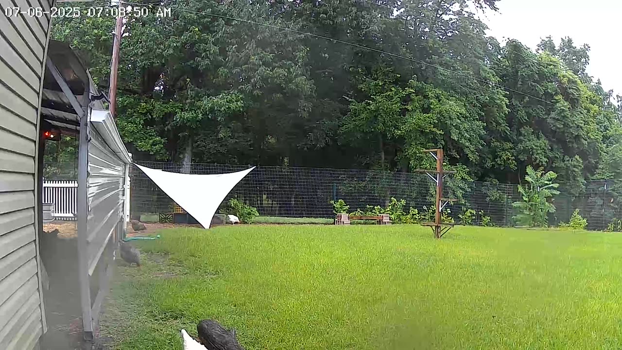 Rainy Morning Snack!