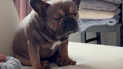 Dozing Off
