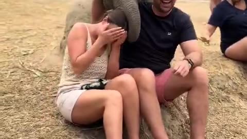 That looks like so much fun!!!
