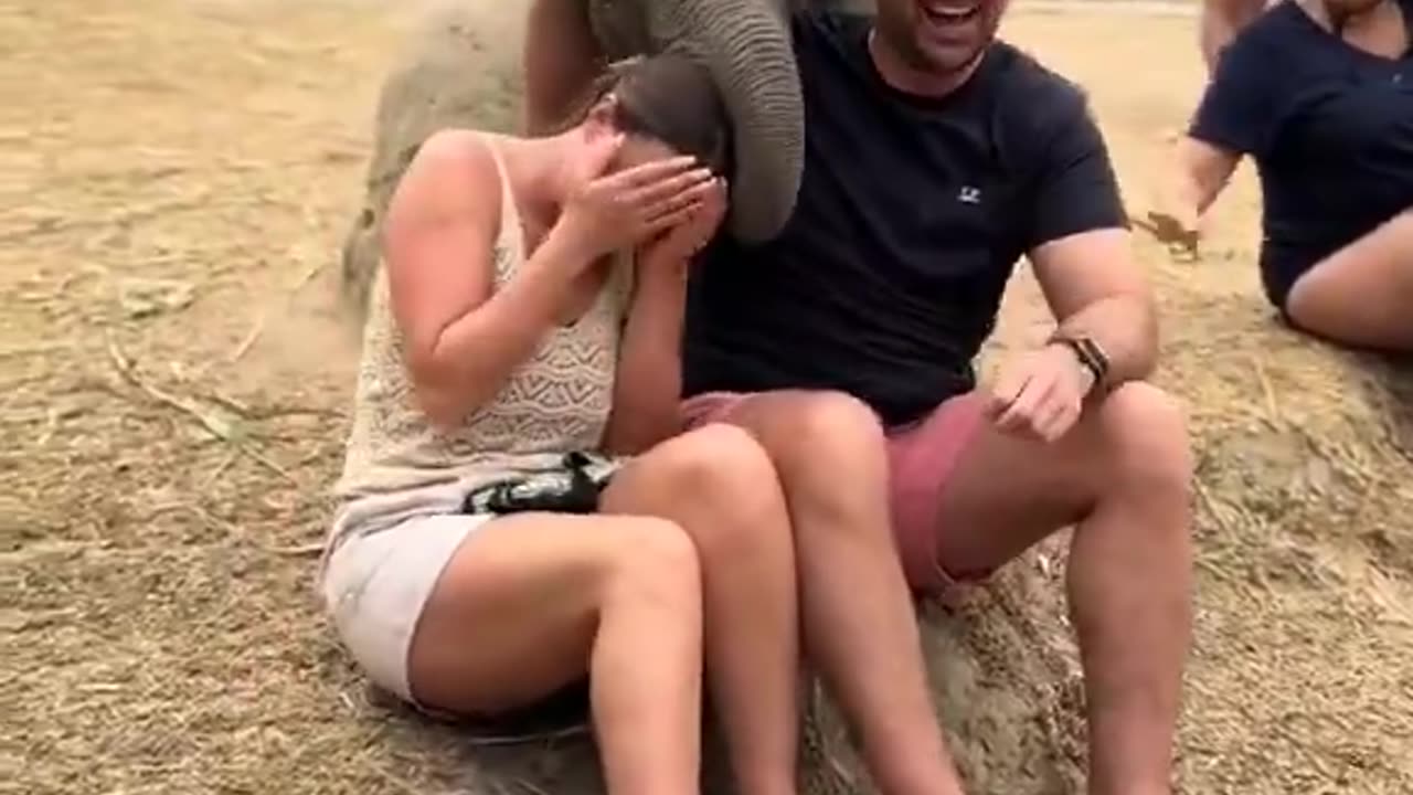 That looks like so much fun!!!