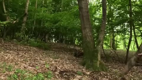 Solo Building a Cozy Dugout for Survival, Secret Shelter