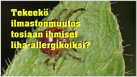Tekeekö ilmastonmuutos tosiaan ihmiset liha-allergikoiksi