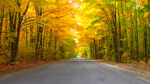 Autumn in Malone, New York.