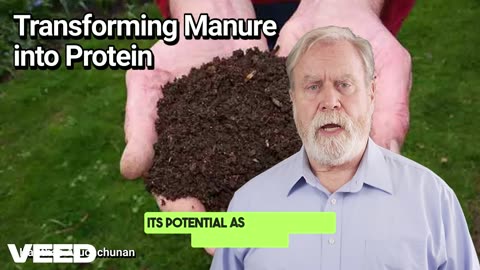 Transforming Manure into Protein:The Future of Sustainable Animal Feed