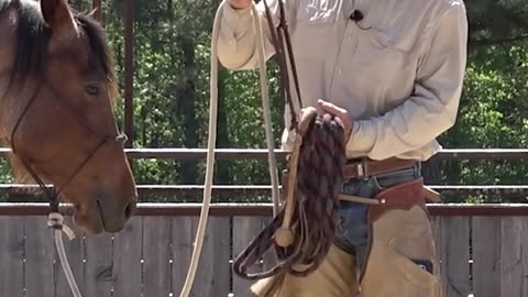 Bosal, bosal, or bosal 🤣