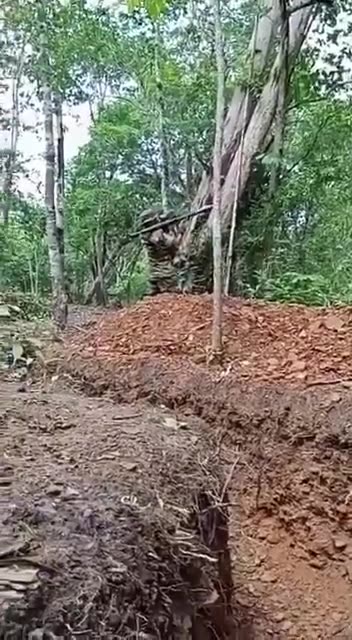 Exchange of fire broke out between the armies of Thailand and Cambodia