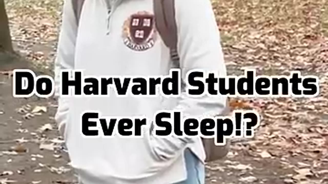 Breaking: Do Harvard Students Ever Sleep!? #shorts #interview #harvard