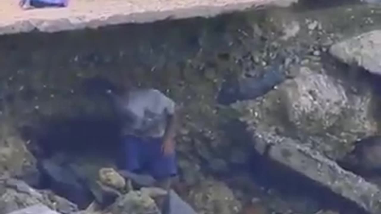 Usual suspect in action.