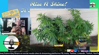 Rise ‘N Shine! It's Marijuana Time! Wake ‘N Bake Show - Ep 232 June 26, 2025