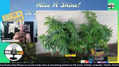 Rise ‘N Shine! It's Marijuana Time! Wake ‘N Bake Show - Ep 232 June 26, 2025