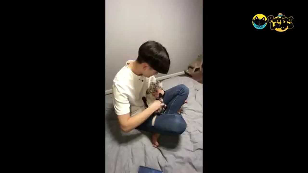 Funny animals