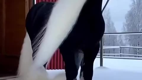 Woe Jesus Day 2. Waiting for GOD to open the Door for a spring/summer Pentecost rapture