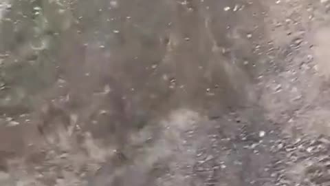 😨👻 This Ghost Will Give You Nightmares! | TheHauntingHour