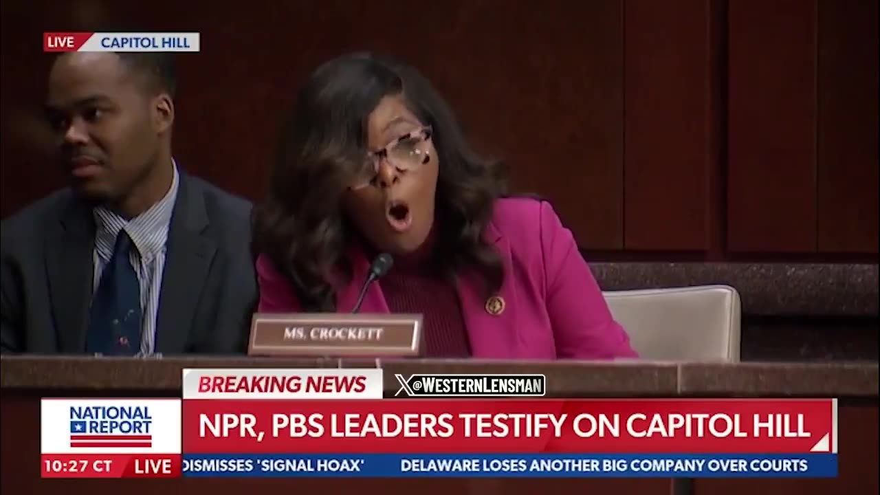 Jasmine Crockett defending taxpayer-supported leftwing propaganda mills PBS/NPR: