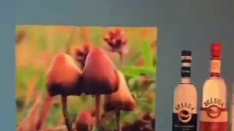 Al-Khul (Alcohol)