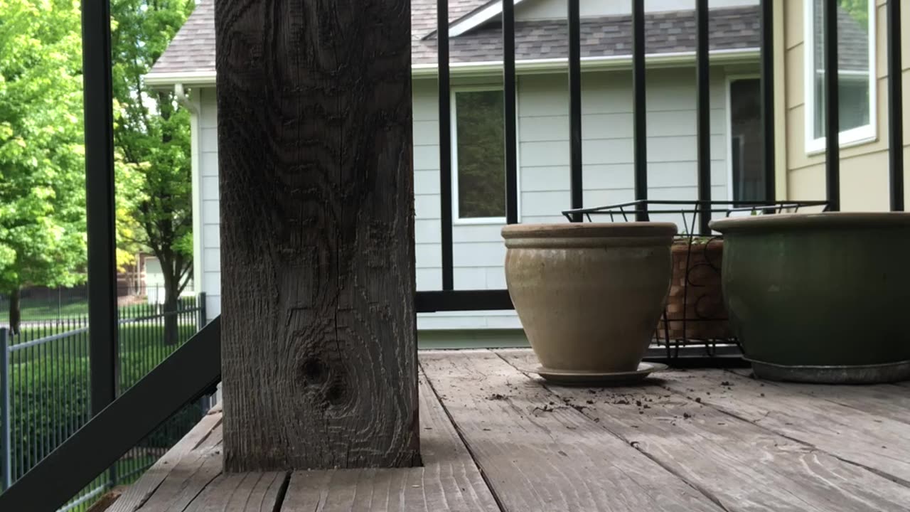 His name is Jay.