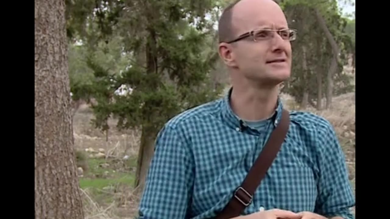 Pine trees in Israel?