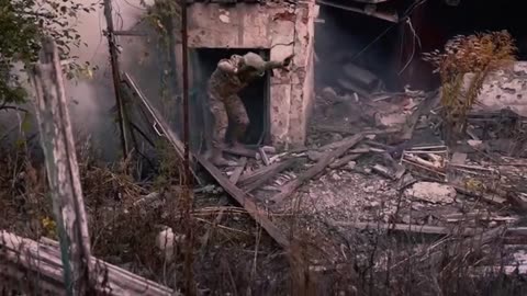 Long-lived pigs have joined the exchange fund