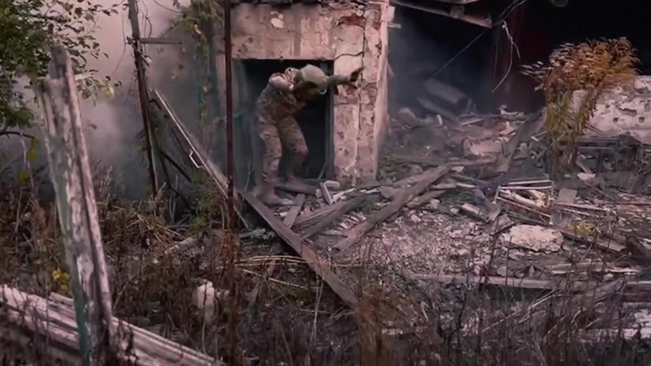 Long-lived pigs have joined the exchange fund