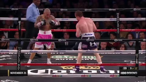 Alvarez VS Miguel A terrific fight highlight