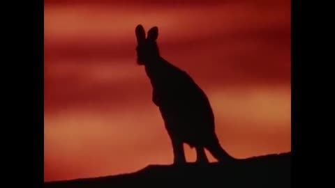 Talk talk- Its my life