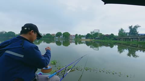 Tilapia Triumph A Food Staple