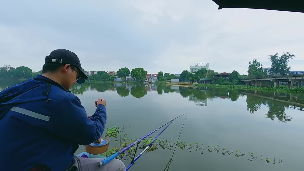Tilapia Triumph A Food Staple