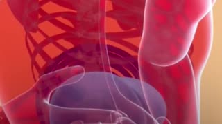 🧠 The Brain’s Role in Chronic Pain 😣➡️🛑