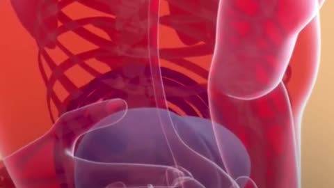 🧠 The Brain’s Role in Chronic Pain 😣➡️🛑