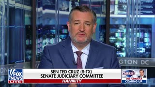 TED TALK: Cruz on Hannity — 'The Democratic Party Embraces Violence'