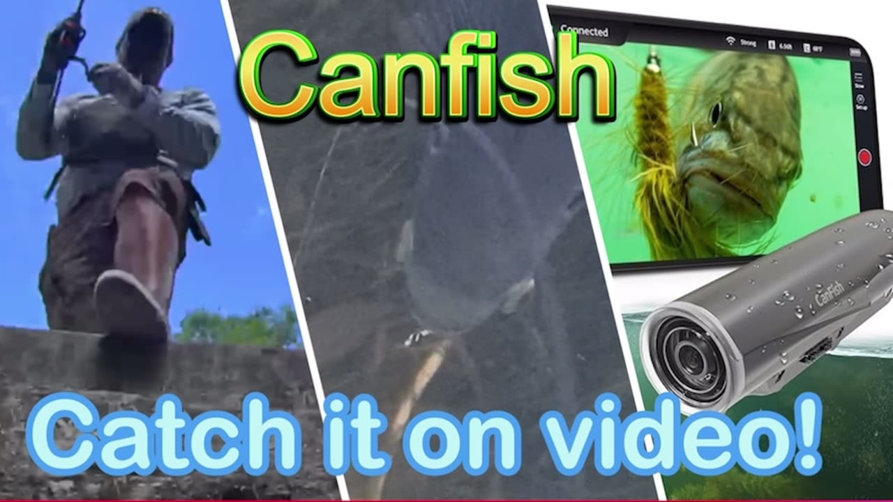 CanFish, catch it on video!